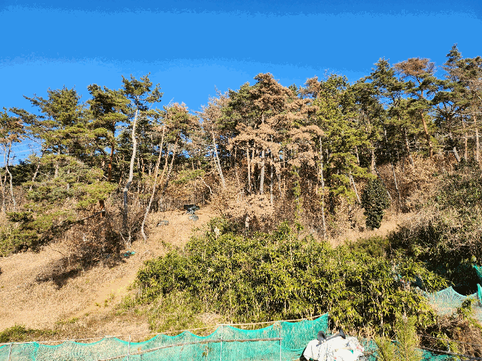 기호2토지