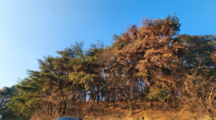 2025타경10401