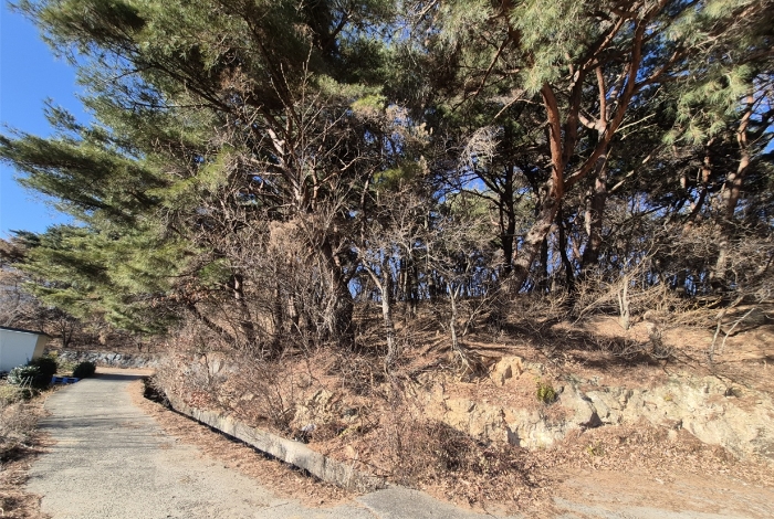 본건 전경
