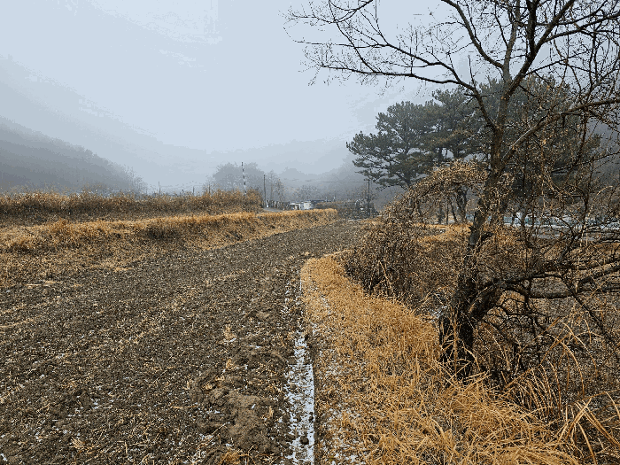 중간(남서)--> 북동