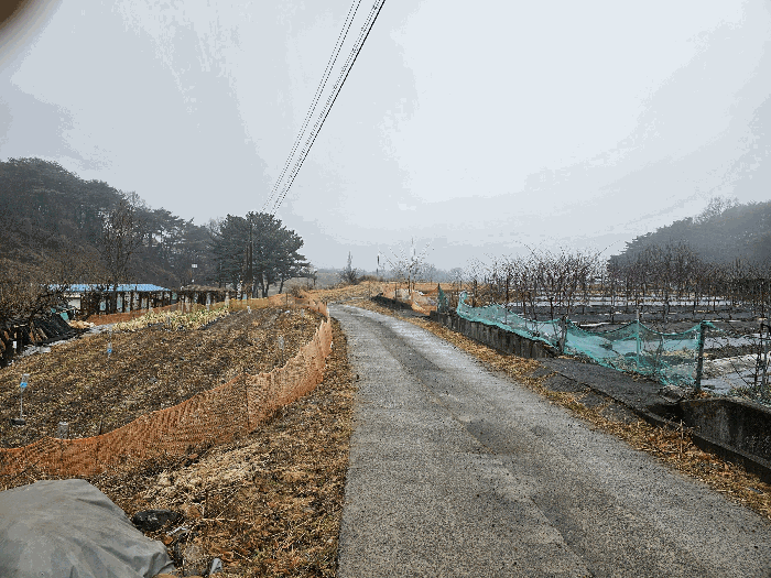 본건 북동측도로주변(북-->남)