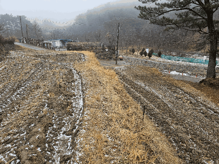 북동측부분(남서-->북동),좌(윗부분), 우(아랫부분)
