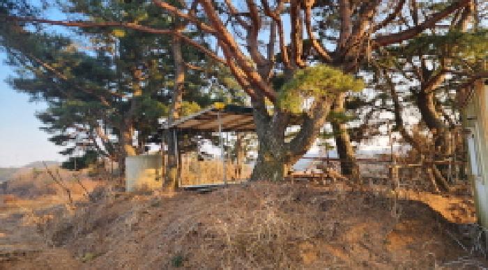부동산의 표시 6. 지상에 소재하는 제시외 철파이프조 천막지붕 휴게시설 1동