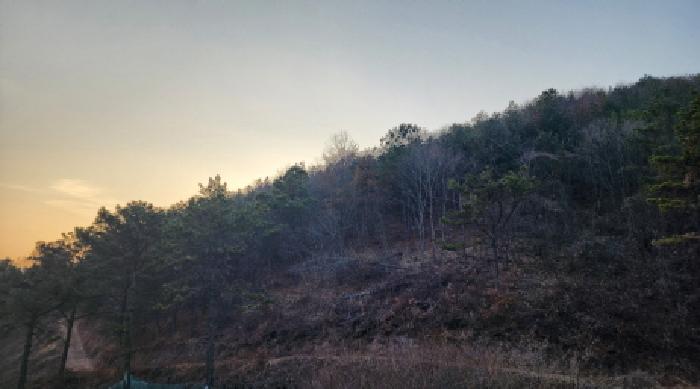 부동산의 표시 7.