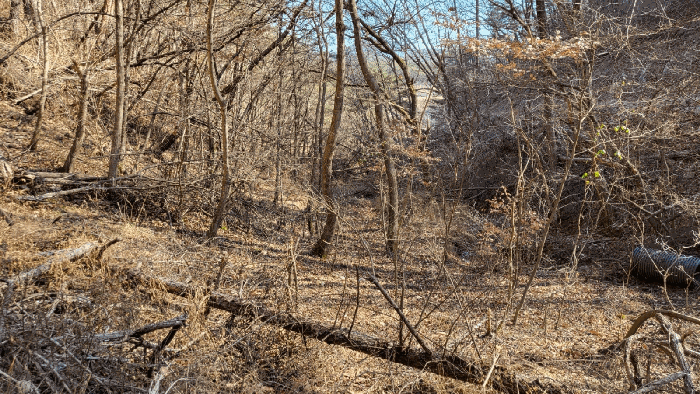 본건 9번, 10번 전경
