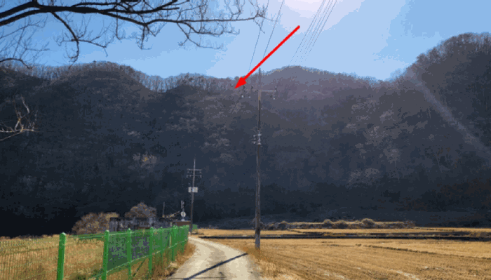 본건 8번
