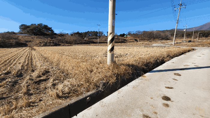 본건 4번 전경