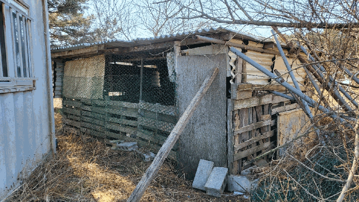 본건 6번 지상 제시외 ㅂ.