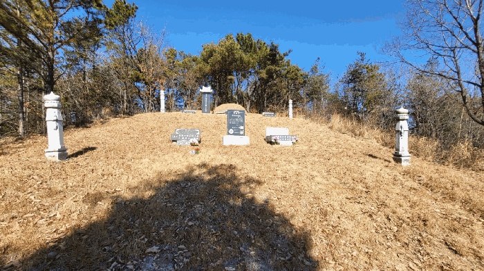 본건 7번 지상 분묘