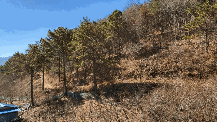 본건 7번 전경