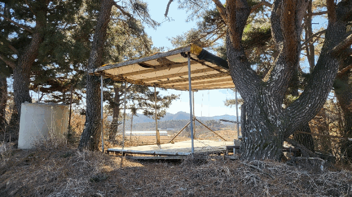 본건 6번 지상 제시외 ㅅ.