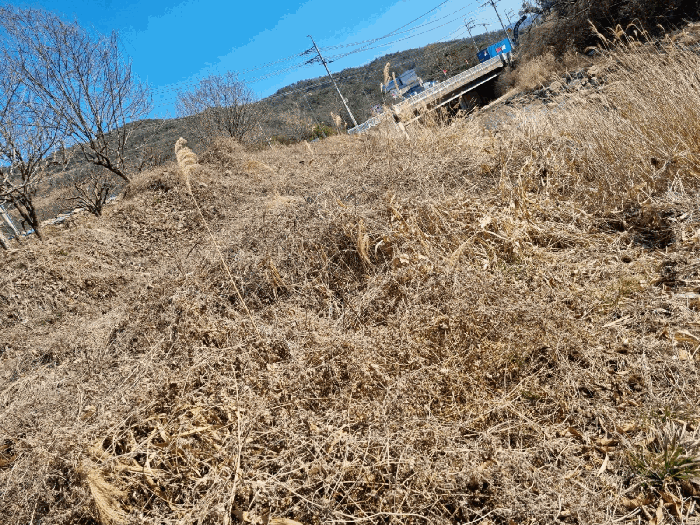 기호(1) 토지