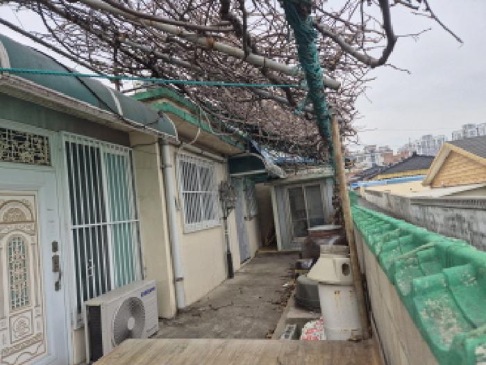 2025타경11330