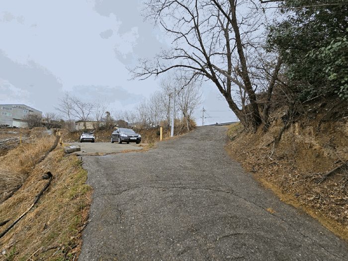 일련번호(3) 전경
