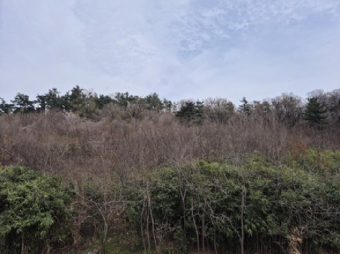 부동산의표시1.