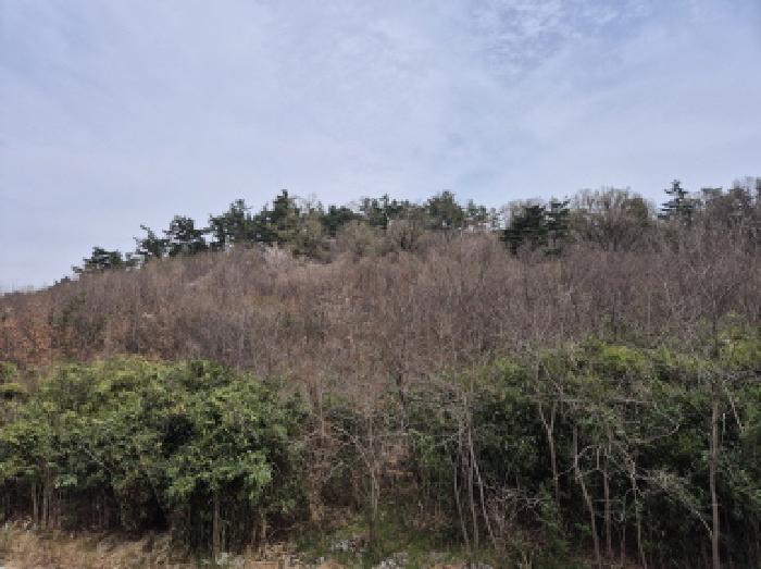 부동산의표시1.