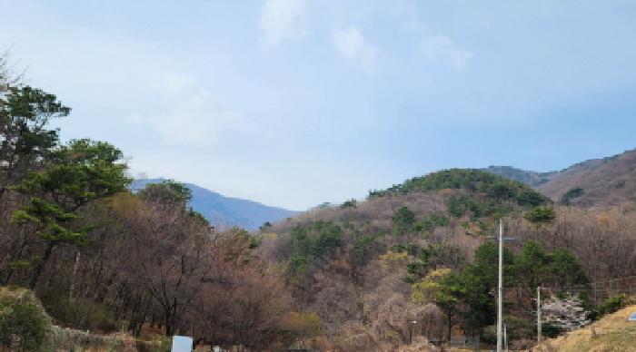 부동산의 표시 13.