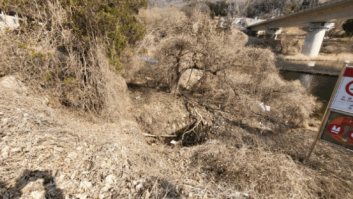 본건 2번 전경