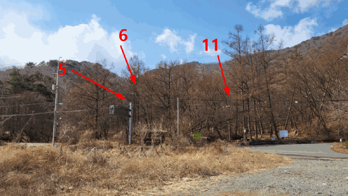 본건 5번, 6번, 11번 전경