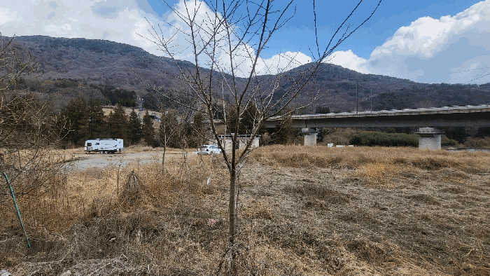 본건 9번 지상 제시외 ㅁ.(제시외 수목)