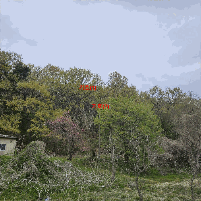 본건(1,2) 전경(남측에서 촬영)