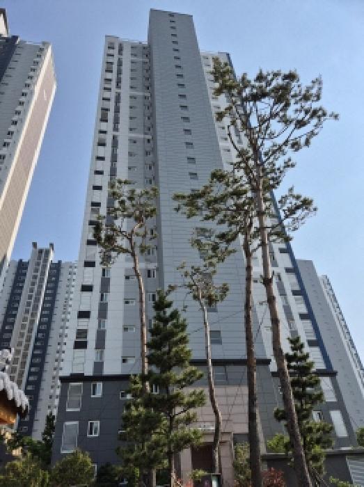 2025타경11676