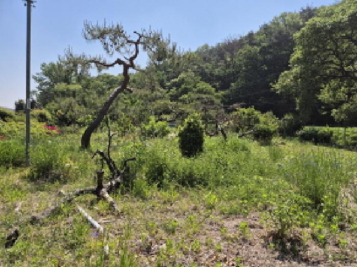 부동산의표시1.