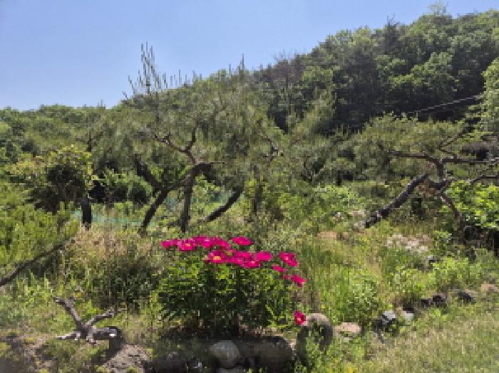 부동산의표시1.