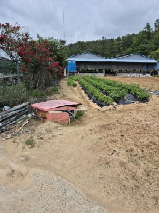 부동산의표시7.