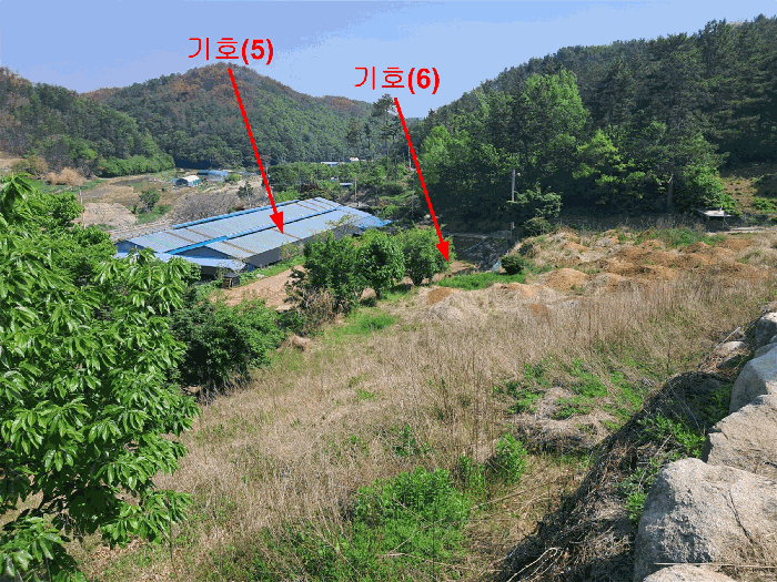 본건 기호(5,6) 토지 전경