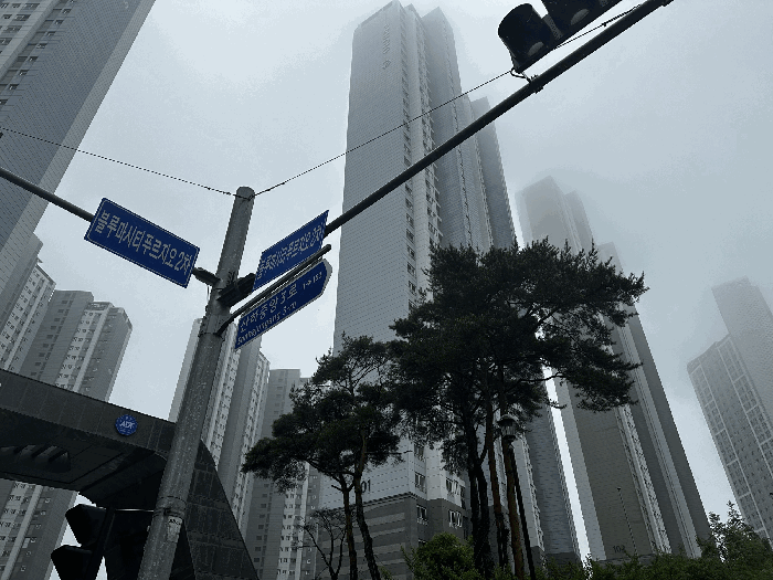 전경