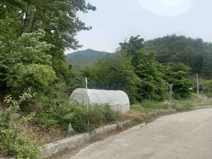 대상물건 전경