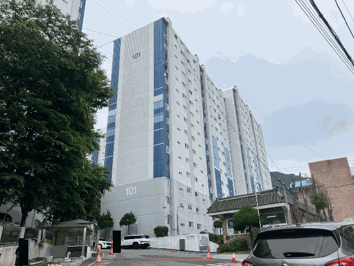 감정서 표지사진
