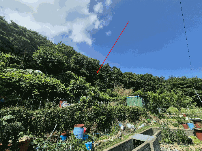 본건 일련번호(1) 전경 및 주위전경
