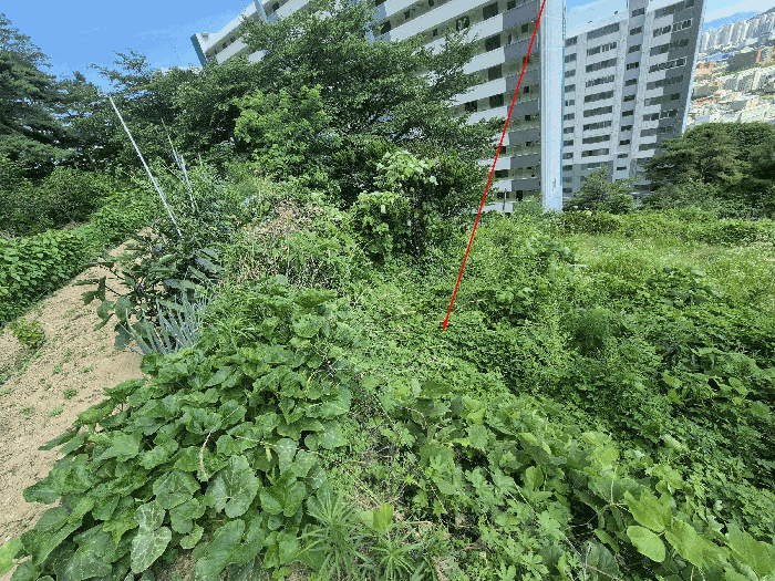 본건 일련번호(2) 전경 및 주위전경