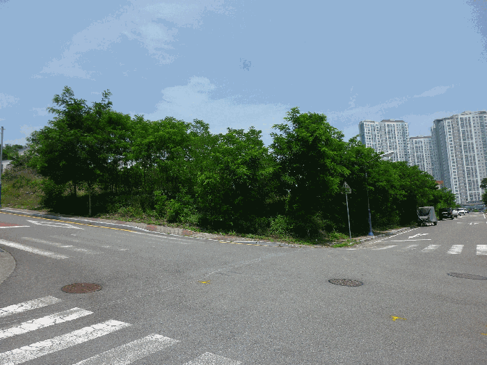 본건 전경