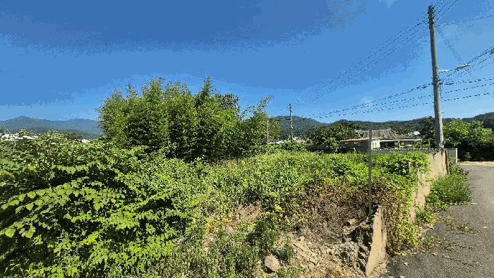 본건 전경 (2)