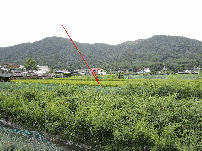 본건전경