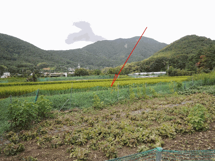 본건전경