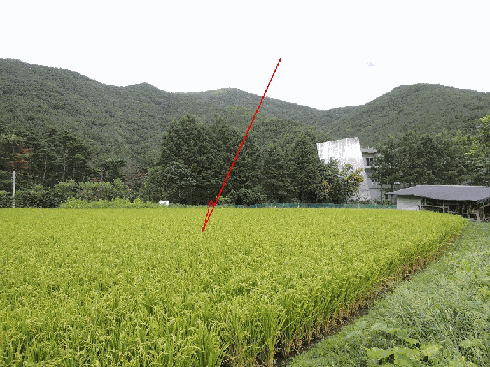 본건전경