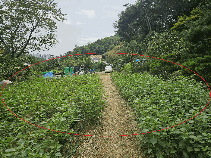 본건(북-->남)
