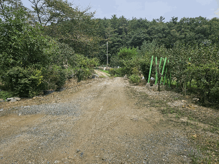 남측도로주변