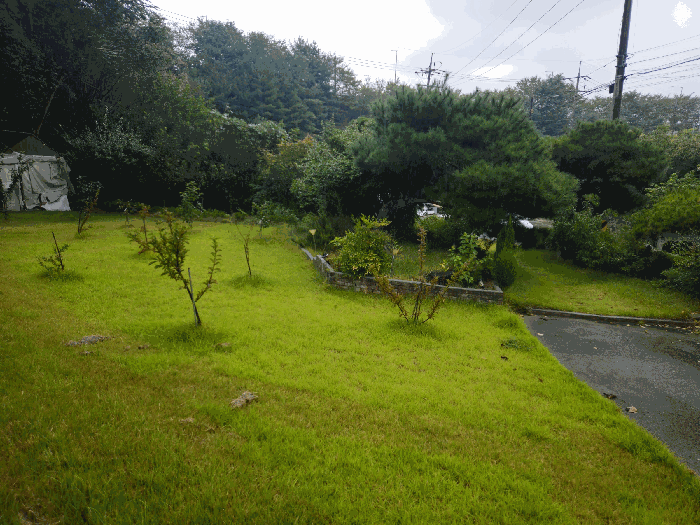 본건 (1)토지