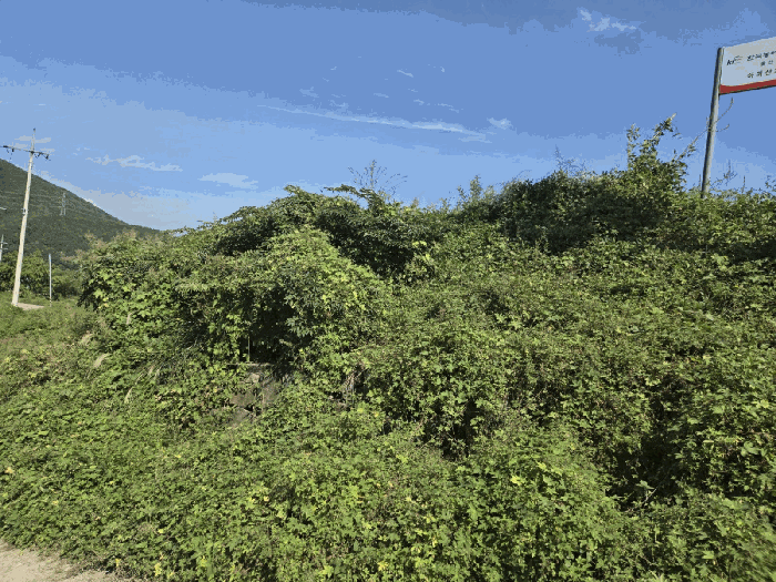 본건(2) 전경