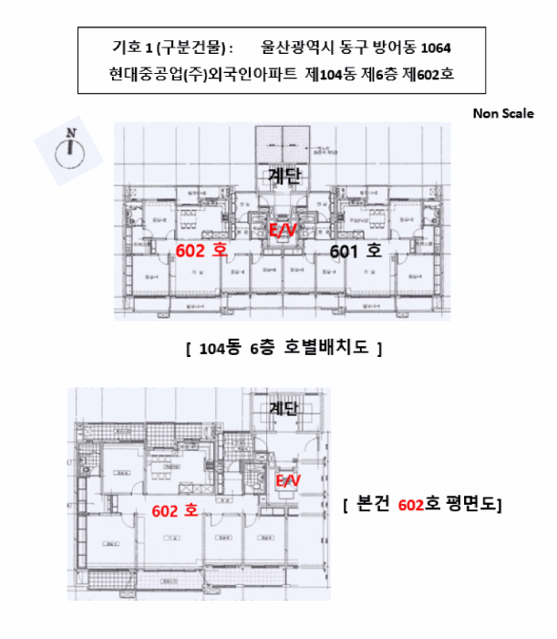 건 물 개 황 도