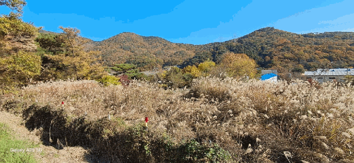 본건 일련번호(1) 전경