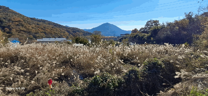 본건 일련번호(1) 전경