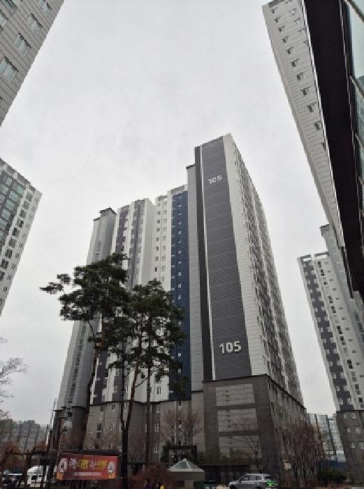 2025타경12995