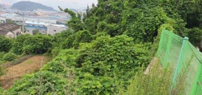 기호 2 일부 전경