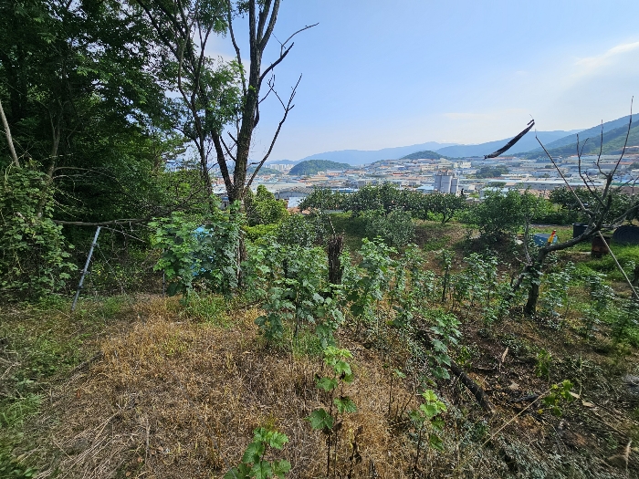 < 기호1 전경 >